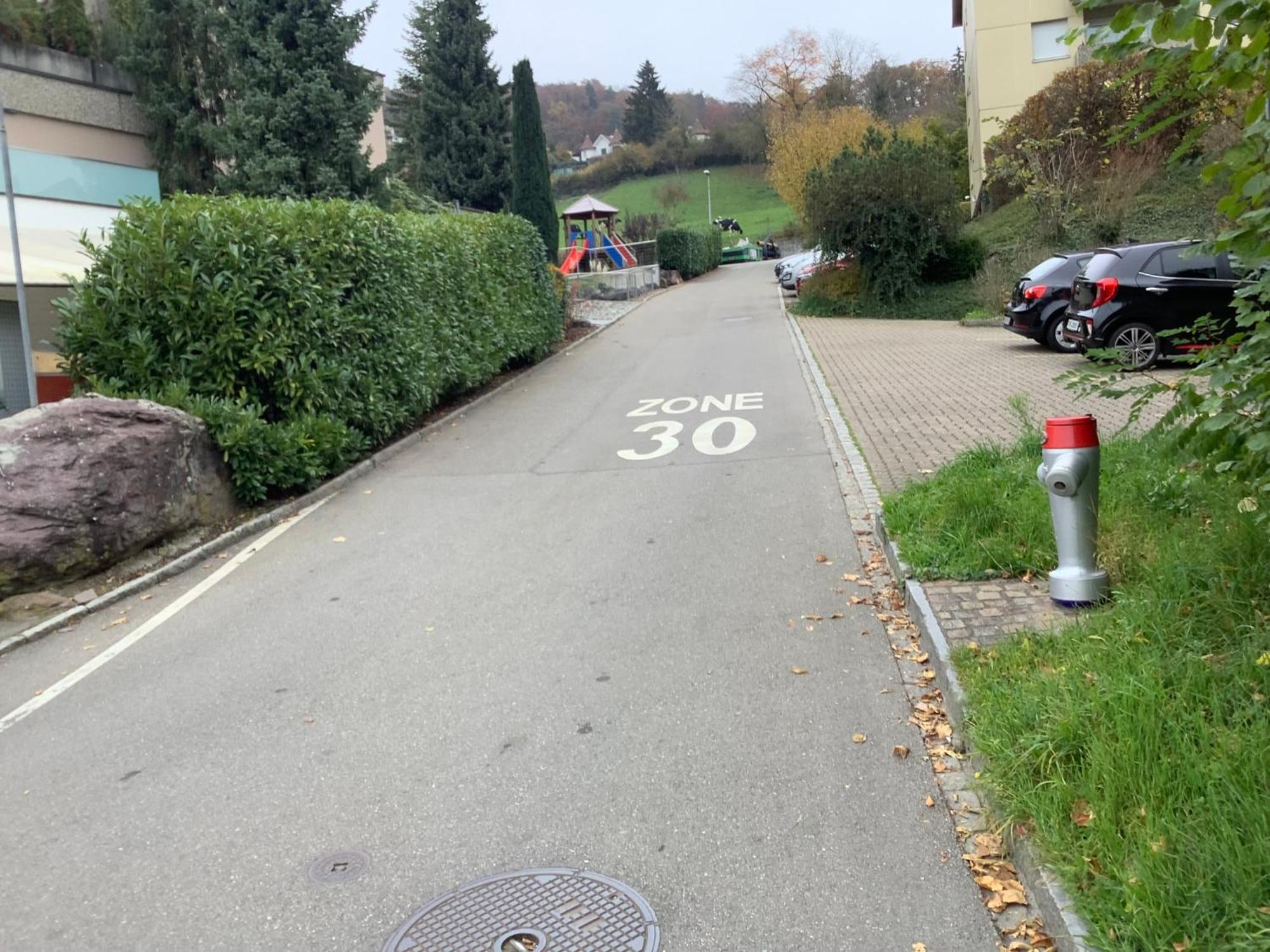 Chambre Spacieuse Et Confortable Avec Ecran Plat Oetwil an Der Limmat Luaran gambar